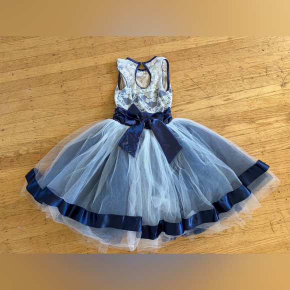 Weissman Train Bleu dance costume tulle satin dress blue and white. - Picture 8 of 13